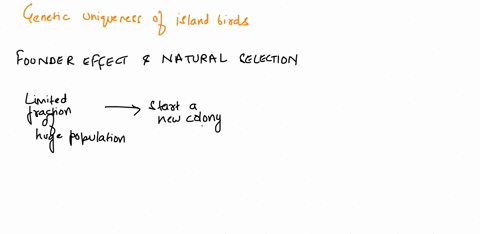 26_-a-small-group-of-birds-leave-the-mainland-to-colonize-new-island-that-has-not-been-colonized-by-birds-before-after-several-generations-the-gene-sequences-between-the-birds-on-the-island-80569