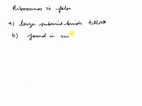 which-of-the-following-statements-regarding-ribosomes-is-false-the-large-subunit-binds-trna-they-can-be-found-in-mitochondria-and-lysosome-the-smaller-subunit-binds-mrna-they-made-of-protein-65013