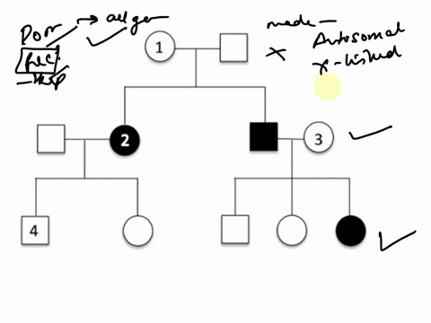 pedigree-2-a-what-is-the-most-likely-mode-of-inheritance-of-this-disease-choose-from-autosomal-dominant-autosomal-recessive-x-linked-dominant-x-linked-recessive-b-state-the-genotypes-of-indi-98985