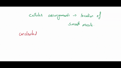 choose-the-statement-that-describes-the-cellular-arrangement-and-location-of-smooth-muscle-1-striated-multiple-peripheral-nuclei-attached-to-bones-under-voluntary-control-2-unstoicted-nucleu-17888