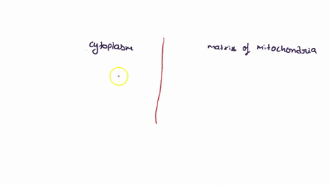 the-consumption-of-an-excess-of-carbohydrates-leads-to-the-accumulation-of-fat-in-the-liver-fatty-acid-synthesis-requires-acetyl-coa-nadph-and-atp-how-are-each-of-these-three-components-prod-63697