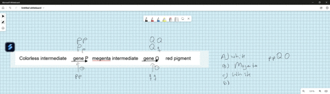 in-roses-the-synthesis-of-red-pigment-is-by-two-steps-in-a-pathway-as-follows-a-what-would-the-pheno-49954