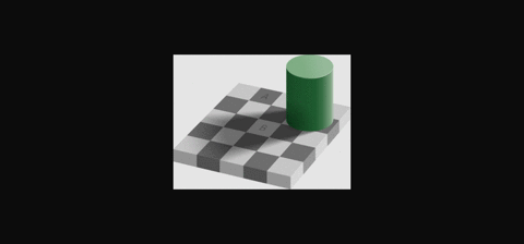 area-v4-is-important-for-color-constancy-what-is-color-constancy-23318