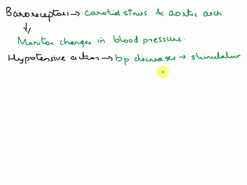 compare-and-contrast-the-hypotensive-and-hypertensive-actions-of-baroreceptors-where-are-they-located-and-what-are-their-effects-90486