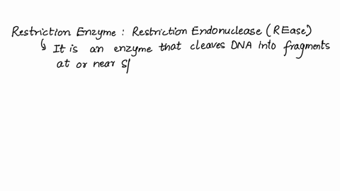 the-restriction-enzyme-bamhi-recognizes-the-sequence-ggatcc-and-cuts-the-dna-between-the-two-gs-given-the-following-segment-of-double-stranded-dna-draw-the-sticky-ends-that-result-from-cleav-64285