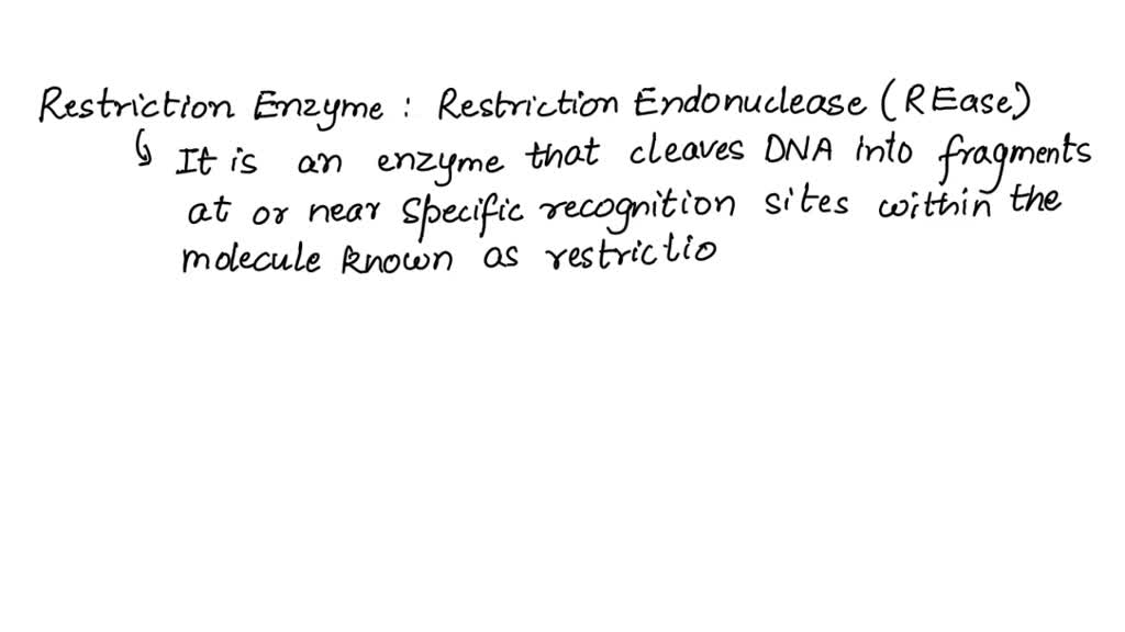 SOLVED The restriction enzyme BamHI recognizes the sequence GGATCC and