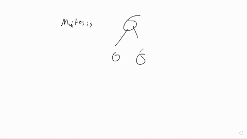 m2a1-worksheet-mitosis-and-meiosis-a-dog-is-a-diploid-organisms-and-has-39-pairs-of-chromosomes-2n-78-where-n-39-chromosomes-from-each-parent-use-this-example-to-answer-the-following-questio-39426