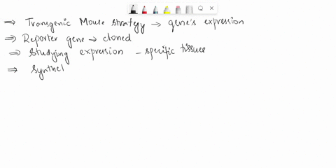 question-which-type-of-transgenic-mouse-strategy-can-be-used-to-study-selected-mouse-genes-expression-in-whole-animal-a-reporter-gene-can-be-cloned-so-that-it-is-under-the-control-of-the-gen-89434