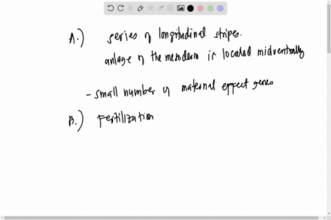 question-1-this-question-refers-to-development-in-drosophila-a-name-and-describe-one-maternal-effect-gene-that-provides-the-initial-information-for-the-developing-drosophila-embryo-b-what-ar-25211