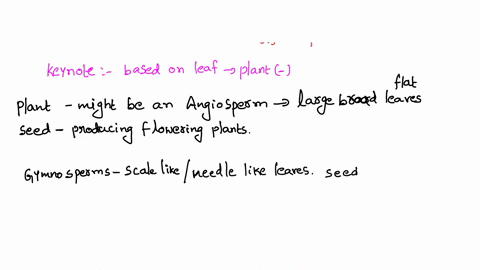 in-the-forest-suppose-you-encounter-a-plant-with-large-broad-leaves-based-on-what-you-know-about-gymnosperm-leaves-and-angiosperm-leaves-what-do-you-think-this-plant-is-38963