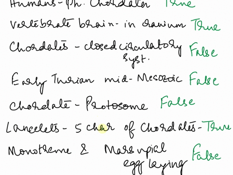 a-true-or-b-false-questions-11-24-11-humans-are-members-of-the-phylum-chordata-12-vertebrates-have-a-cranium-enclosing-a-brain-13-all-chordates-have-a-closed-circulatory-system-14-the-early-06295