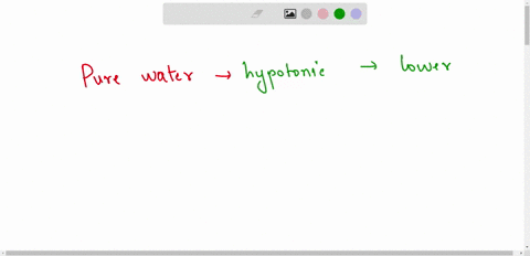 pure-water-is-always-what-hypertonic-hypotonic-or-isotonic-compared-to-any-cell-why-41838