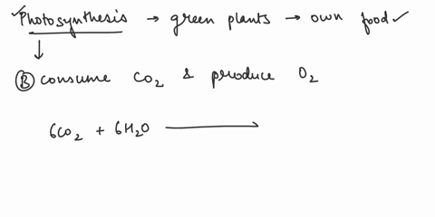 the-overall-process-of-photosynthesisa-results-in-the-oxidation-of-glucose-and-oxidation-of-oxygenb-consumes-oxygen-and-produces-carbon-dioxidec-results-in-the-oxidation-of-carbon-dioxide-an-26418