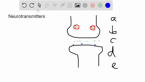 the-effects-of-a-neurotransmitter-could-be-increased-by-_______-a-increasing-the-number-of-receptors-27659