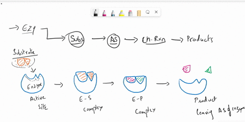 explain-how-enzymes-function-as-biological-catalysts-including-the-role-of-the-active-site-and-the-effect-of-enzymes-on-activation-energy-by-providing-an-illustrationexample-and-making-sure-75483
