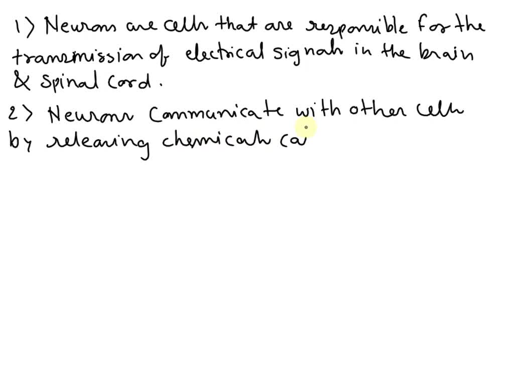 Solved Activity 4 Review Questions 1 What Is The Function Of Neurons