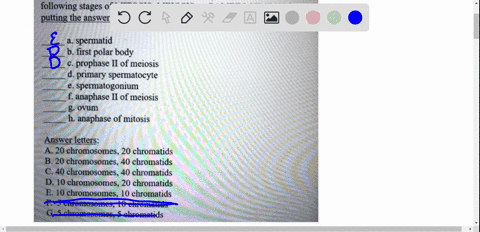 11-for-the-question-below-you-determine-that-the-cells-of-species-z-contain-a-total-of-20-chromosomes-diploid-number-2n-20-indicate-how-many-chromosomes-and-chromatids-are-present-in-each-ce-07634