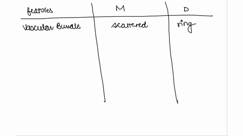fill-in-the-table-below-comparing-some-structures-of-monocots-and-eudicots-trait-monocot-eudicot-stem-vascular-bundle-layout-number-of-cotyledons-leaf-venation-typical-number-of-flower-parts-67533