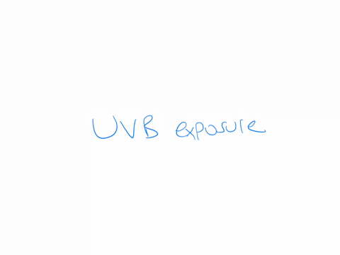 how-can-the-body-synthesize-vitamin-d-group-of-answer-choices-uvb-exposure-bone-resorption-transamination-activation-of-calcitriol