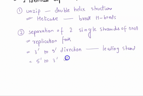 1-describe-the-process-of-dna-replication-in-order-you-must-include-the-following-terms-dna-polymerase-i-dna-polymerase-iii-helicase-lagging-strand-leading-strand-ligase-okazaki-fragments-pr-06921