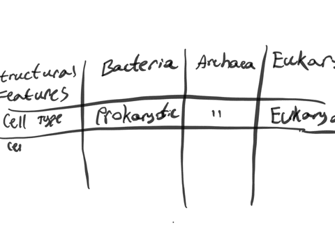 what-is-the-evolutionary-relationship-between-bacteria-archaea-and-eukaryotes-create-a-table-to-note-down-the-details-of-the-key-structural-differences-between-bacteria-archaea-and-eukaryotes
