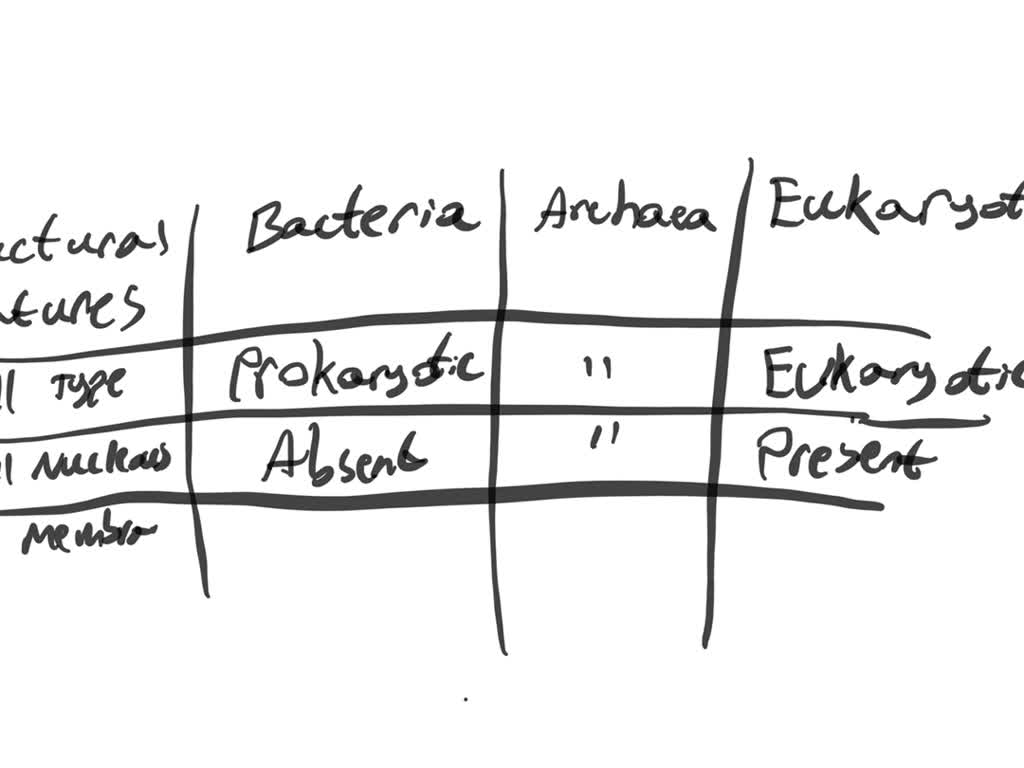 SOLVED What is the evolutionary relationship between bacteria, archaea