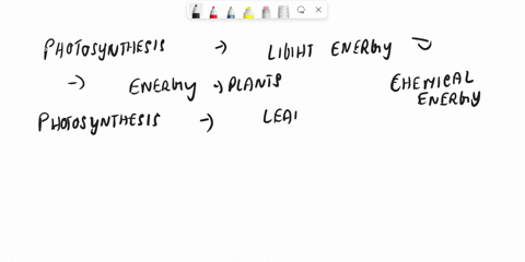 how-are-electrons-moved-from-photosystem-ii-to-photosystem-i-in-photosynthesis-39764