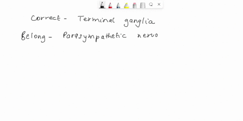 what-type-of-ganglia-belongs-to-the-parasympathetic-nervous-system-ic-reflexes-splanchnic-ganglia-ing-postvertebral-ganglia-mic-prevertebral-ganglia-terminal-ganglia-canexpectto-58995