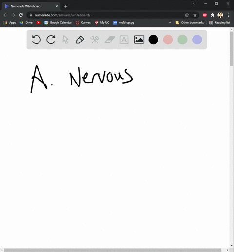 question-31-____-tissue-allows-the-body-to-detect-and-respond-to-internal-and-external-changes-a-nervous-b-adipose-c-epithelial-d-connective-e-skeletal-muscle-question-32-the-____-system-del-27677