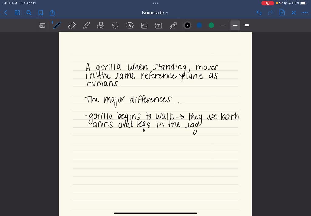 Anatomi Kaki Kelinci: Lebih dari Sekadar Melompat
