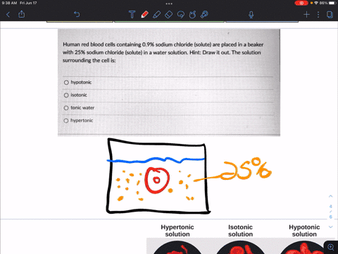 human-red-blood-cells-containing-09-sodium-chloride-solute-are-placed-in-a-beaker-with-25-sodium-chloride-solute-in-a-water-solution-hint-draw-it-out-the-solution-surrounding-the-cell-is-hyp-36983