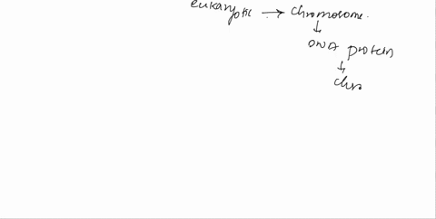 in-eukaryotic-cells-chromosomes-are-organized-into-a-dna-protein-complex-known-as-chromatin-true-false-16636