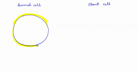 1-given-the-following-function-identify-the-organic-molecules-as-lipids-carbohydrates-protein-or-nucleic-acid-a-main-source-of-energy-b-store-and-transmit-genetic-information-c-structural-su-60762