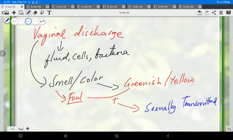 a-foul-smelling-yellowish-green-vaginal-discharge-characterizes-_____________-a-gonorrhea-b-trichomo-77299