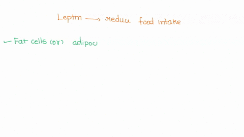 leptin-is-a-hormone-that-tends-to-reduce-food-intake-it-is-produced-by-what-kind-of-cells-38056