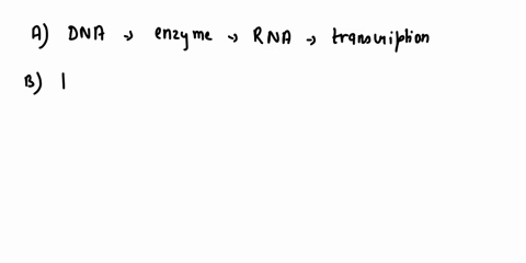 which-one-of-the-following-makes-use-of-rna-as-a-template-to-synthesize-dna-a-dna-dependant-rna-polymerase-b-dna-polymerase-c-reverse-transcriptase-d-rna-polymerase-06294