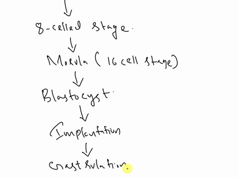 9-a-put-the-following-terms-in-the-correct-chronological-order-for-the-development-of-new-life-blastocyst-zygote-implantation-gastrulation-beginning-of-organ-development-8-cell-stage-fetal-d-57402