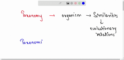 what-is-taxonomy-and-taxonomic-level-and-taxonomic-category-i-m-too-much-confused-in-this-topic-plz-explain-m-32219