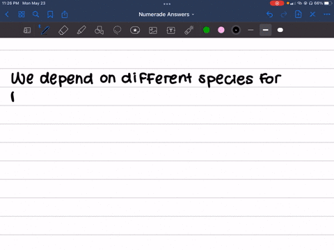 why-maintaining-biodiversity-has-a-direct-economic-value-to-humans-50597