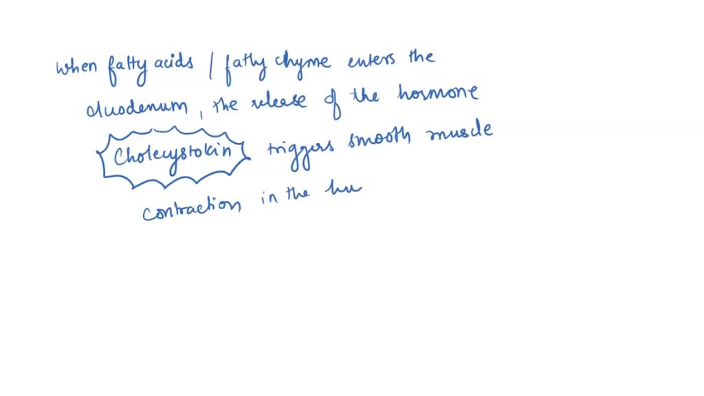SOLVED Hormone in the small intestine that stimulates enzyme release