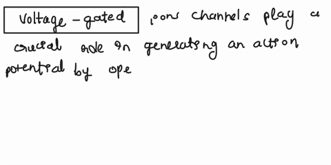 describe-the-relationship-between-voltage-gated-ion-channels-and-the-steps-of-generating-an-action-potential-58668