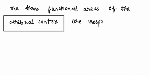 what-are-the-three-functional-areas-of-the-cerebral-cortex-which-do-you-think-is-most-characteristic-of-conscious-thought-43874