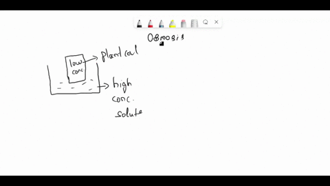 when-a-plant-cell-is-placed-in-a-very-salty-water-solution-the-situation-describes-a-solution-that-causes-the-plant-cell-to-a-hypertonic-solution-burst-b-hypertonic-solution-shriveled-c-hypo-77009
