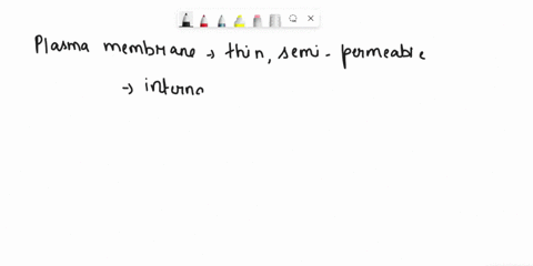 briefly-describe-the-structure-and-function-of-each-of-the-following-plasma-membrane-chromatin-nucleus-nucleolus-rough-endoplasmic-reticulum-rough-er-golgi-complex-lysosomes-mitochondria-mic-38902