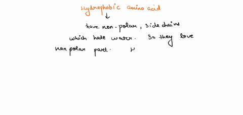 hydrophobic-amino-acids-can-be-found-on-the-surface-of-which-proteins-02302