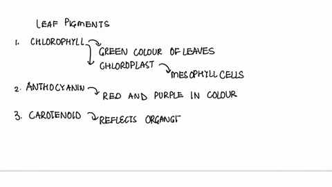 which-of-the-following-statements-is-incorrect-a-pigments-absorb-light-of-certain-wavelengths-only-4-83504