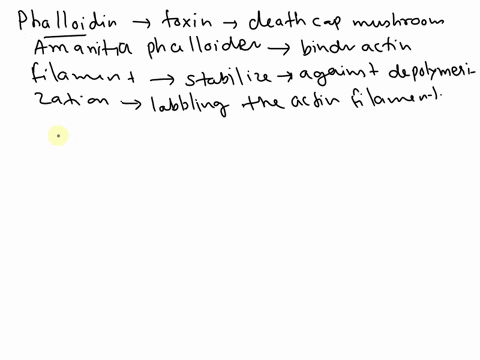 in-research-phalloidin-can-be-used-to-fluorescently-label-actin-filaments-within-a-cell-briefly-describe-how-this-is-possible-considering-that-phalloidin-itself-is-not-fluorescent-what-is-th-34185