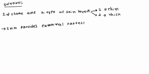 test-your-learning-which-of-the-following-epidermal-layers-is-present-in-thick-skin-but-not-thin-skin-which-epidermal-layer-is-the-thickest-in-thick-skin-ostratum-basale-ostratum-corneum-o-s-40378