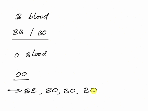set-4-practice-problems-blood-type-0-if-a-man-has-type-b-blood-what-are-his-possible-genotypes-if-a-woman-has-type-0-blood-what-is-her-genotype-draw-a-punnett-square-to-show-the-possible-gen-12377
