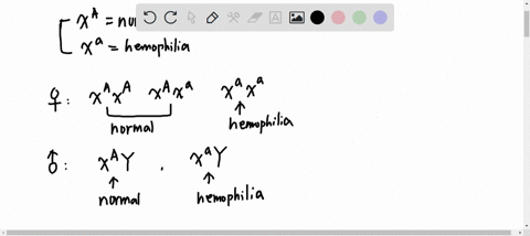 hemophilia-the-bleeders-disease-is-associated-with-an-sex-linked-recessive-allele-the-daughter-of-a-hemophilic-man-is-not-a-bleeder-herself-she-marries-a-normal-man-what-is-the-probability-t-31305